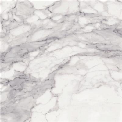 Carrara Porcelanico