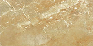 Larissa Bej 30x60