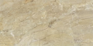 Larissa Olive 30x60