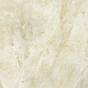 Larissa Olive 30x60