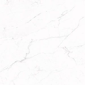 Motto Siyah 60x60