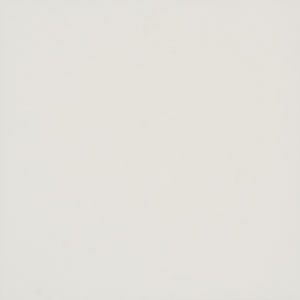 Micron Beyaz 40x40
