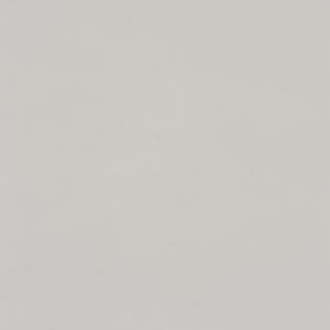 Micron Gri 45x45