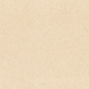 Paper Bej 50x50