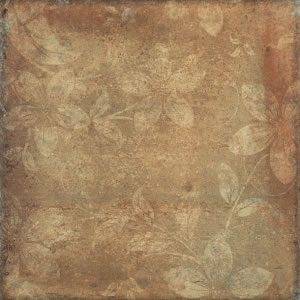 Casa Mıla Cotto 50x50