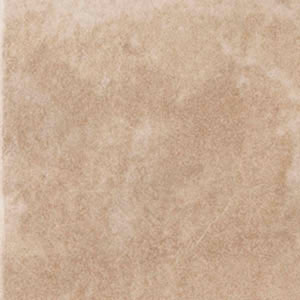 Delhi Sand 22,5x22,5