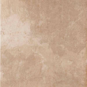 Delhi Sand 45x45