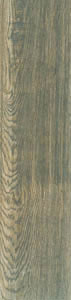 Forest Kahve 15x60