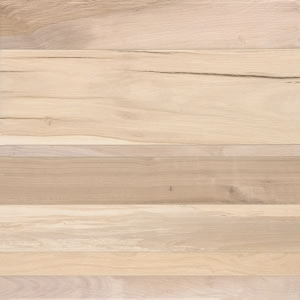 Saga Bej 50x50