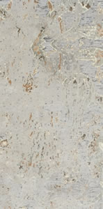 Sine Gri Dekor 30x60