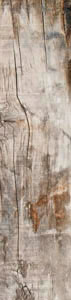 Vintage 15x60